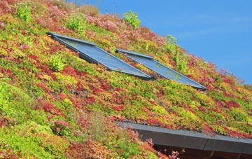 Leftwich living roof systems